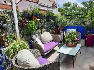 um pátio com cadeiras, uma mesa e plantas em Loft con jardin em Madri