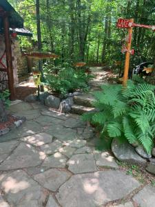 a path in a garden with green plants at The croquet cabin your year round romantic escape in Boulder Junction
