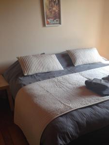 een bed in een kamer met twee kussens erop bij B&B Bekersveld in Vlezenbeek
