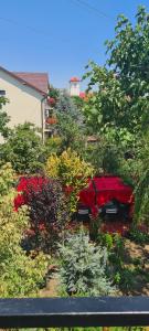 a red car parked in a field of flowers at Vila Davi in Costinesti