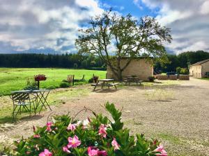 un parque con dos mesas de picnic y un árbol en Domaine Joseph LAFARGE Wine Resort B&B, en Lugny