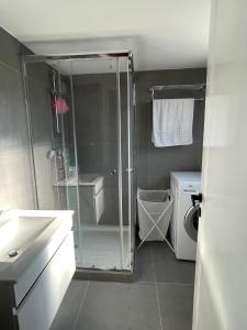 a bathroom with a shower and a toilet and a sink at Nicosia centre cozy appartment in Nicosia