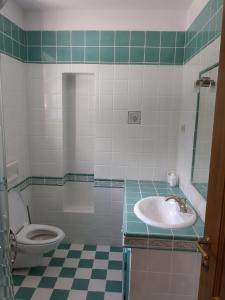 een badkamer met een toilet en een wastafel bij Apartmaji Klanc in Bovec