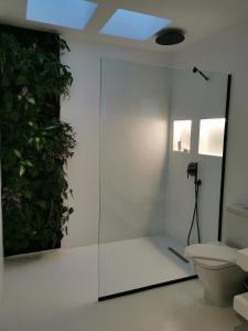 a bathroom with a toilet and a glass wall at Villa Tagoror in Tiagua