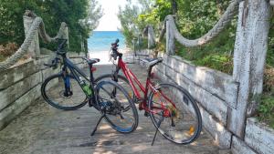 Jazda na bicykli v okolí ubytovania Kołobrzeg Solna11
