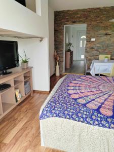 1 dormitorio con 1 cama grande y TV en Sončni apartma, en Ankaran