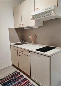 cocina con fregadero y fogones horno superior en Sončni apartma, en Ankaran