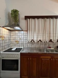Kuchyň nebo kuchyňský kout v ubytování Antiperatos Beach house
