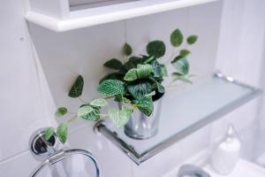 a plant in a vase on a shelf in a bathroom at LARGE DUPLEX Apartment in CITY CENTRE! LIME STREET! FOOTBALL! Ideal for Stag and Hen Do Stays! in Liverpool