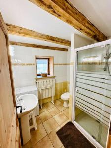 a bathroom with a shower and a toilet and a sink at Chalet familial de village en Savoie in Peisey-Nancroix