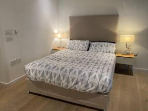 a bedroom with a large bed with two tables and two lamps at Entire Studio Apartment in Central London SE1 in London