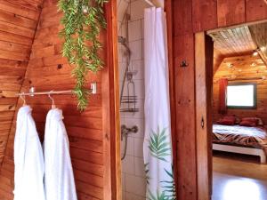 uma casa de banho com chuveiro e uma cama num quarto em Le Gîte du Chat Botté - Spa et Nature em Hazelbourg