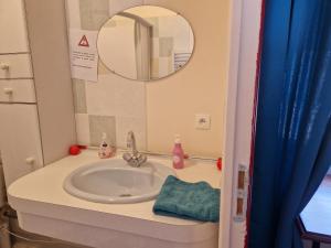 a bathroom with a sink and a mirror at Appartement Le Dauphin 