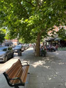 a park bench sitting on a sidewalk under a tree at Oak in Whetstone