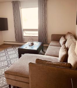 a living room with a couch and a table at North Star Place Apt 8 in Fairbanks