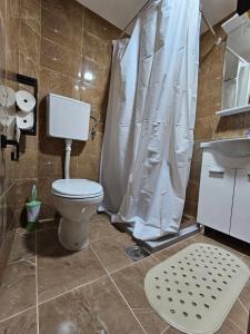 a bathroom with a toilet and a sink and a shower at City View Apartment in Bijelo Polje
