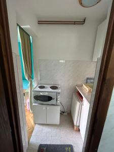 a small kitchen with a stove and a refrigerator at Vila Dalmatinka in Gornja Toplica