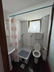 a small bathroom with a toilet and a sink at Vila Dalmatinka in Gornja Toplica