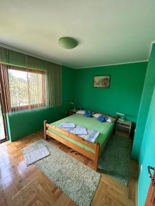 ein Schlafzimmer mit einem Bett in einer grünen Wand in der Unterkunft Vila Dalmatinka in Gornja Toplica