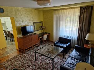 a living room with a couch and a tv at Avalon Apartments in Belgrade