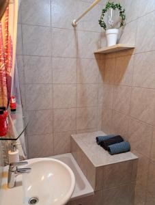 uma casa de banho com um lavatório e uma banheira em Apartment Donna Cavtat em Zvekovica