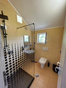 a bathroom with a shower and a toilet at Krašići apartmani Bozic in Krasici