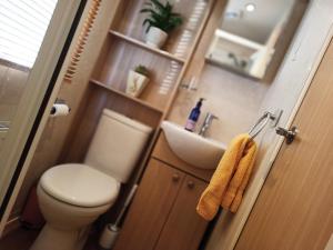 Bilik mandi di 2 Bedroom Static Caravan C3 on quiet park near Talacre and Prestatyn - Pet Friendly +7 gambar