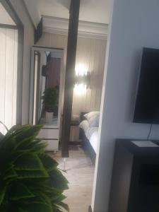 ein Zimmer mit einem Schlafzimmer mit einem Bett und einem Spiegel in der Unterkunft POKÓJ RODZINNY SERCE KRYNICY in Krynica Morska