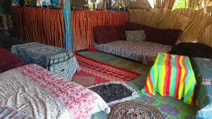 Freedom Camp Ella في إيلا: غرفة بها أريكة وسرير وسجادة