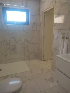 a bathroom with a shower and a toilet and a window at Spa NESSA in Saint-Andiol