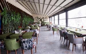 un restaurante con mesas, sillas y plantas en Hotel Carmen en Predeal