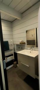 uma casa de banho com um lavatório e um espelho em Aux Passagers de la Baie em Le Crotoy