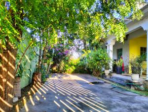 a house with a tree in the middle of a driveway at Bahama Breeze Beach Apartment in Cap Malheureux