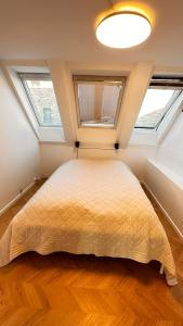 1 dormitorio con 1 cama y 2 ventanas en Carolinas Apartment - Studie 4th floor, en Copenhague