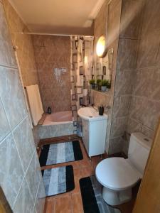 La salle de bains est pourvue de toilettes, d'un lavabo et d'une baignoire. dans l'établissement Garsoniera Slanic-Moldova, à Slănic-Moldova
