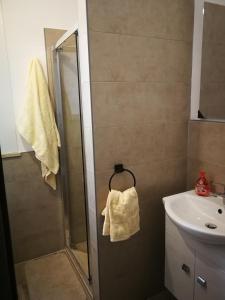 uma casa de banho com um chuveiro e um lavatório. em DonaLisa em Andrano