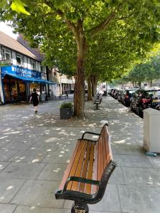 a park bench sitting on a sidewalk next to a tree at Rainbow in London