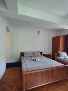 1 dormitorio con 1 cama en una habitación en VILA MARKO, en Niška Banja