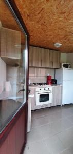 a kitchen with a white stove and a white refrigerator at Casa Darian in Dubova