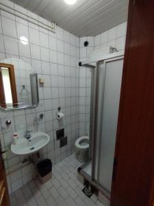 Koupelna v ubytování VILA MARKO