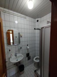 Koupelna v ubytování VILA MARKO