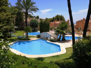 una piscina en un patio con palmeras en Casa Blanca, en Alicante