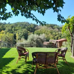 three chairs and a table in the grass at Agriturismo Casa Garello in Salice Terme