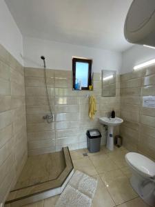 a bathroom with a shower and a toilet and a sink at Cabana Sunrise in Beclean