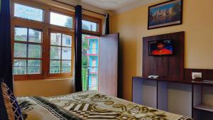 TV a/nebo společenská místnost v ubytování Hotel Ishwar Naddi