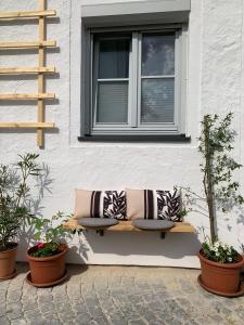 a bench sitting in front of a building with plants at kremsoase in Krems an der Donau