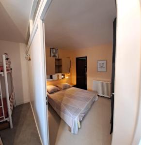 1 dormitorio con 1 cama en una habitación en Appartement 2 à 4 personnes Luchon centre, en Luchon