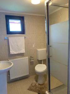 La salle de bains est pourvue de toilettes et d'un lavabo. dans l'établissement Casa din Grădină, à Moieciu de Jos