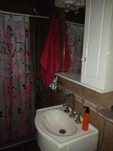 a bathroom with a sink and a red shower curtain at Lasemes in Laferrere