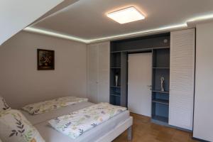 um quarto com 2 camas e um closet em Glöcknerhaus em Sankt Gallen